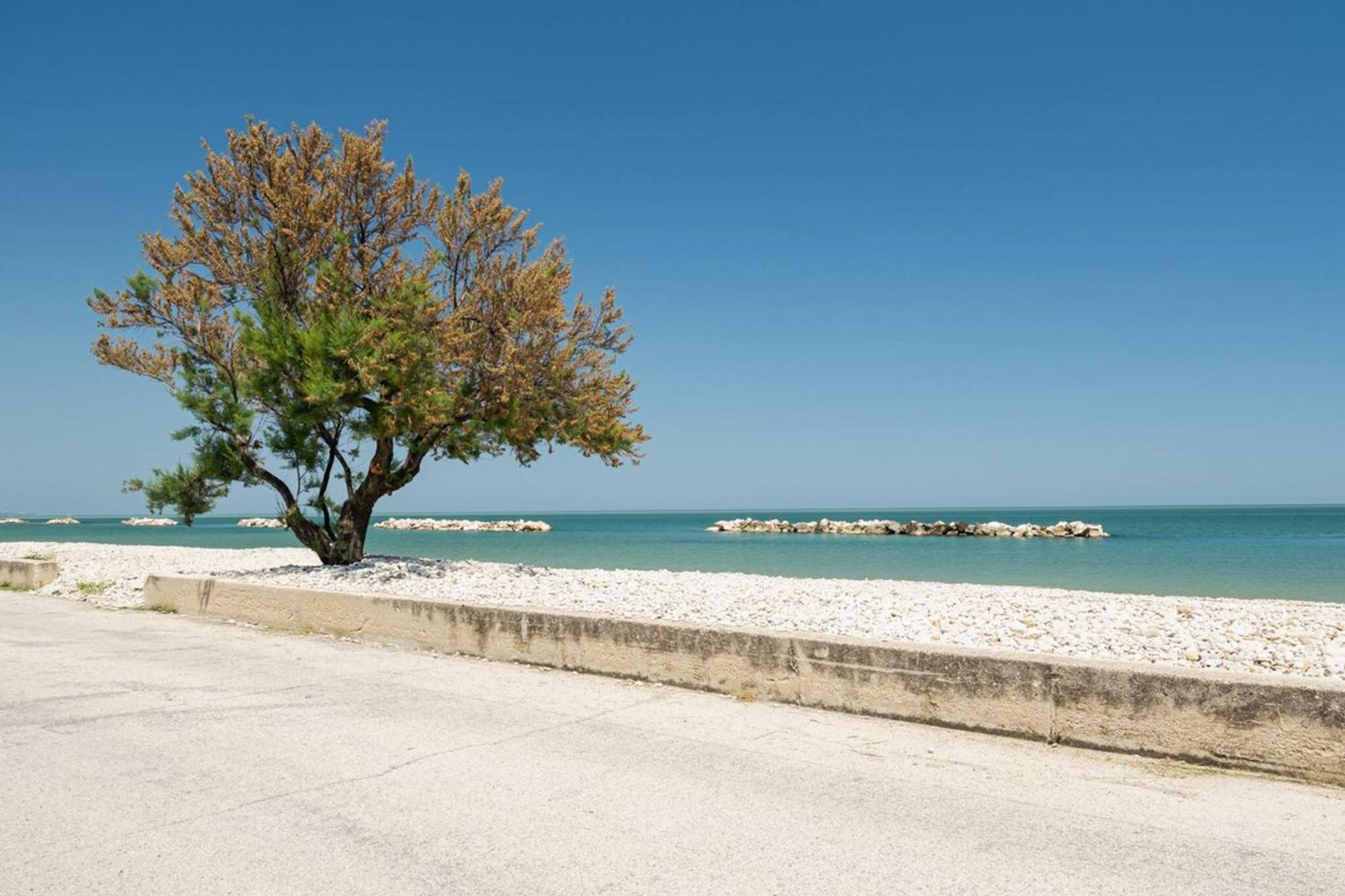 Ostriche - Yourplace Abruzzo