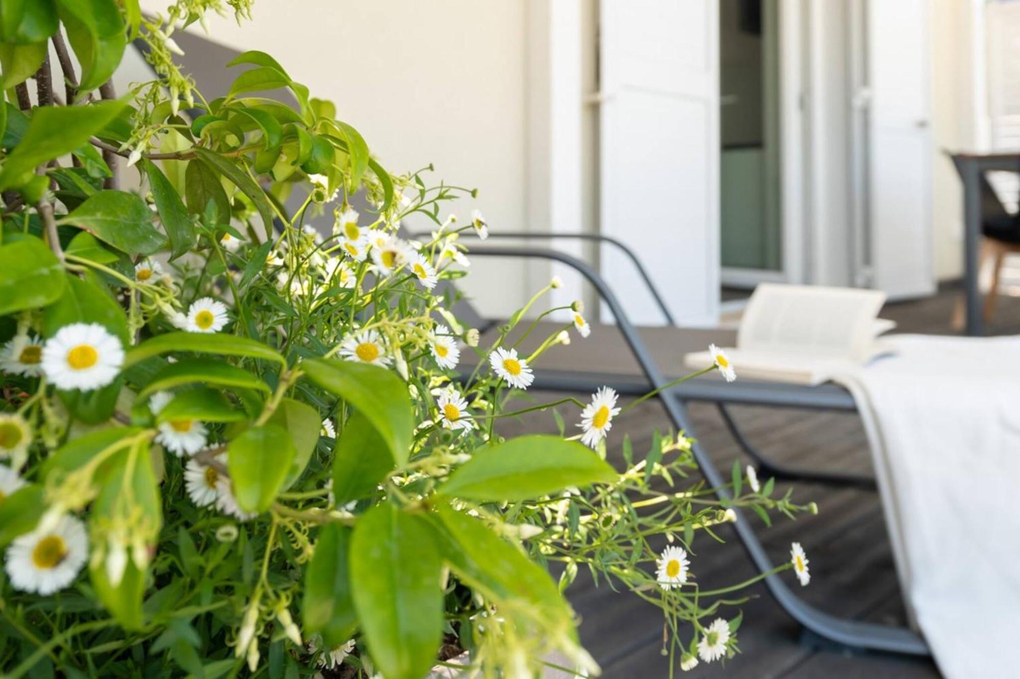 Ostriche - Yourplace Abruzzo Apartment *