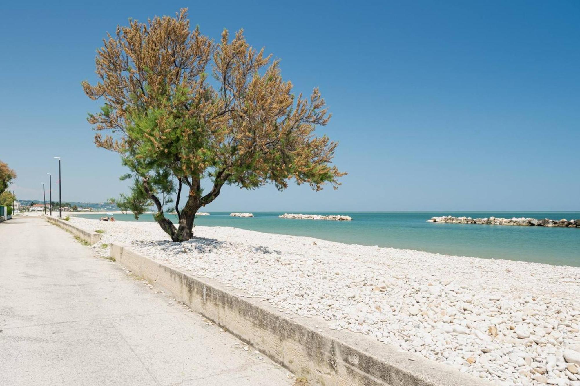 Ostriche - Yourplace Abruzzo Apartment